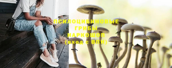 кокс Баксан